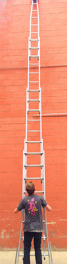 window-cleaning-ladder